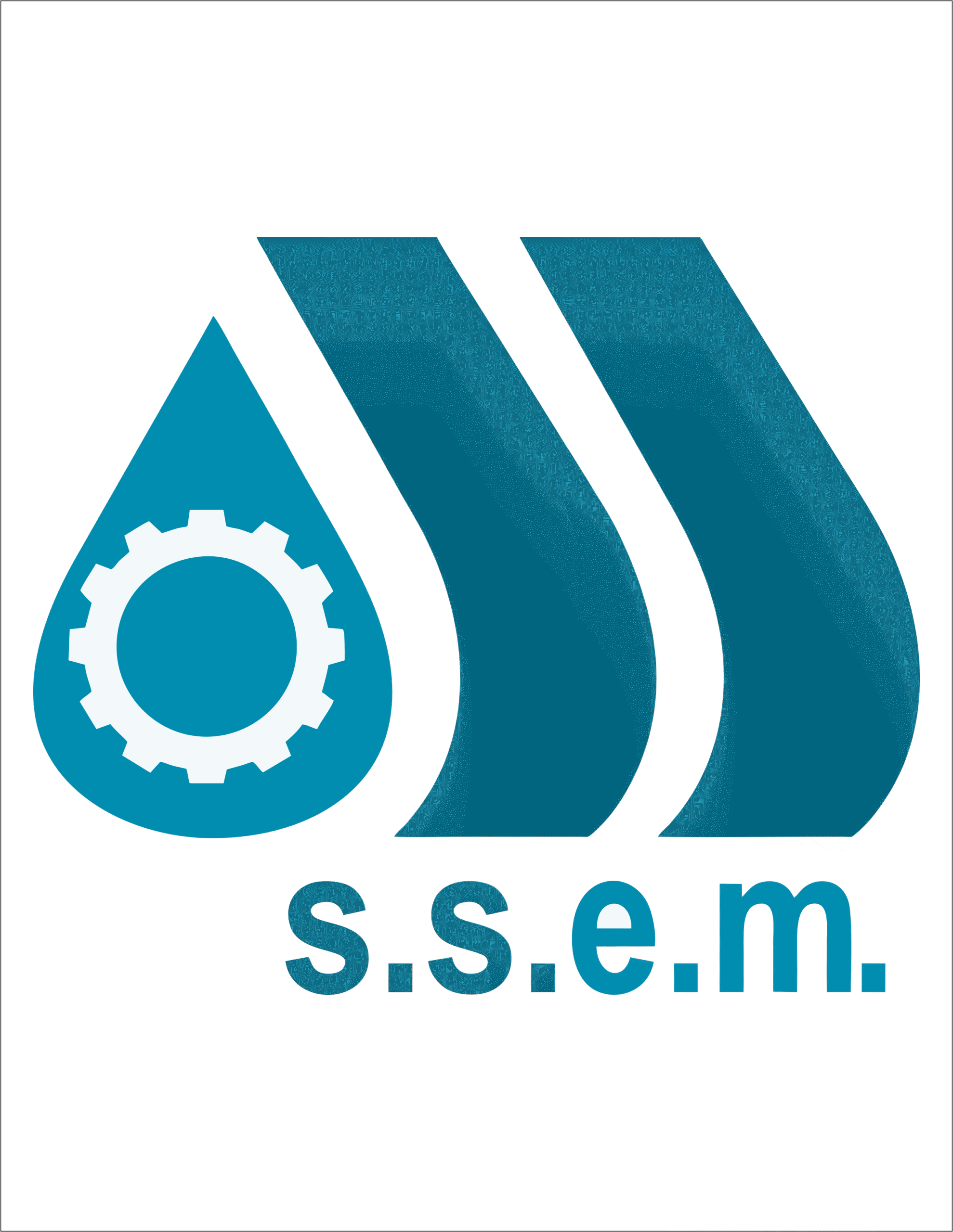 S.s.e.m. logo with gear and droplet design representing industrial asset management.